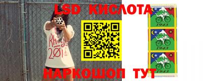 молекула духа Будённовск