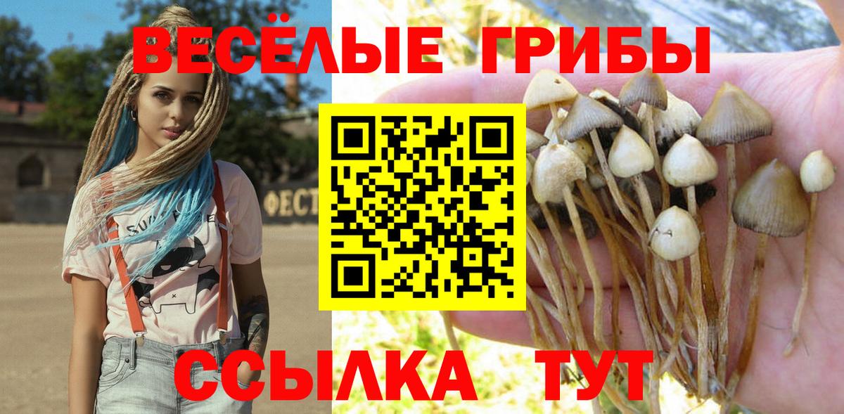 Галлюциногенные грибы Cubensis Радужный